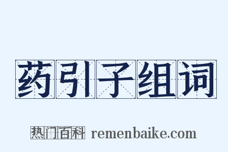 药引子组词是什么意思的图片